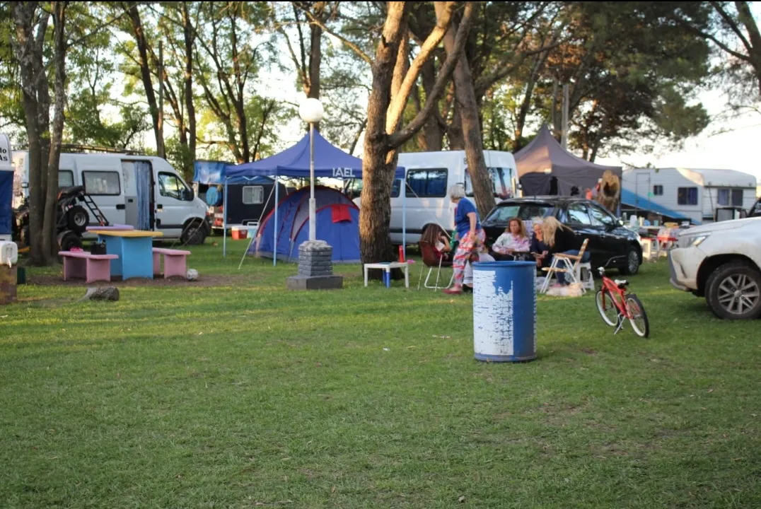 Screenshot_20240102-063513_WhatsApp