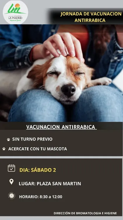 flyer vacunación mascotas