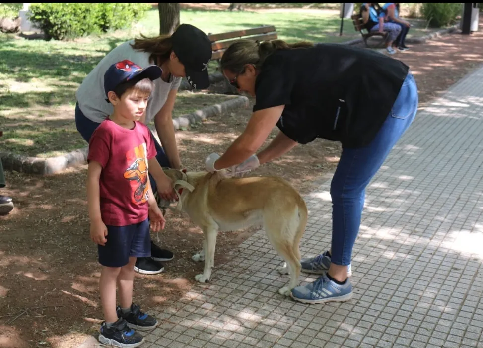 Screenshot_20241023-063023_WhatsApp