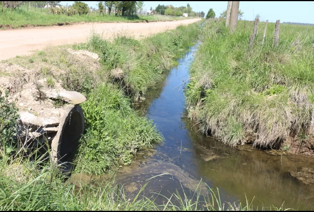 Screenshot_20251009-062928_WhatsApp