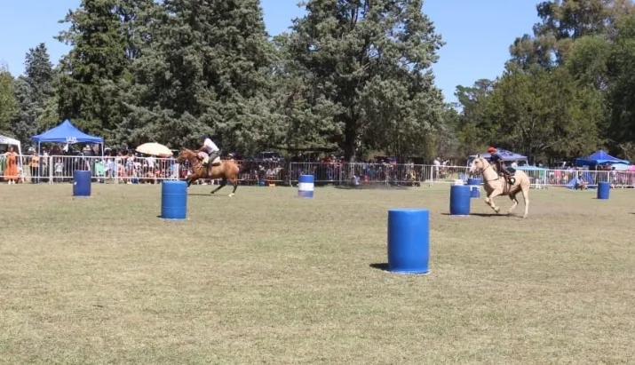 Screenshot_20250216-171241_WhatsApp