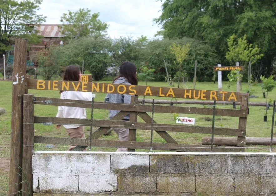 Screenshot_20251031_064940_WhatsApp