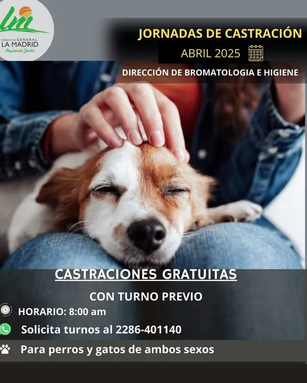 flyer castración